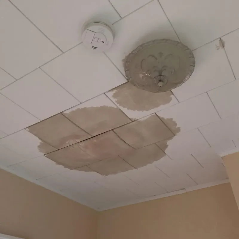 Ceiling Water Damage Repair in Winnsboro, TX