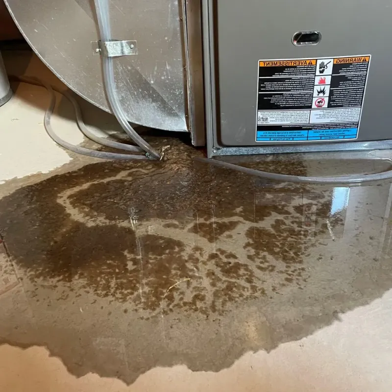 Pipe Burst and Leak Restoration in Winnsboro, TX
