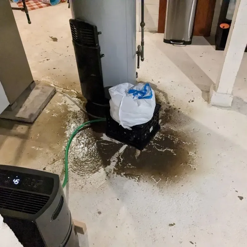 Sewage Backup Cleanup Service in Winnsboro, TX